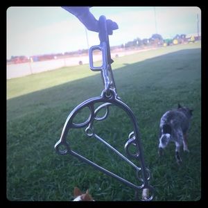 Stiver Hackamore